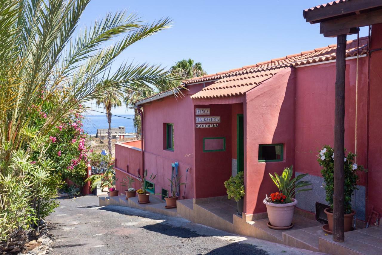 Finca La Gaviota - Maxi Icod de los Vinos Kültér fotó